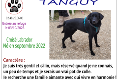 tanguy