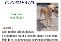 casimir
