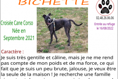 bichette