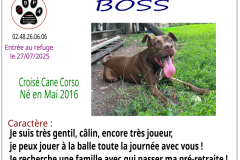 boss