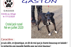 GASTON