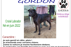 gordon