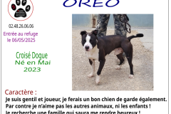 oreo