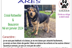 ARES