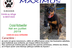 maximus