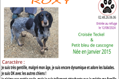 roxy